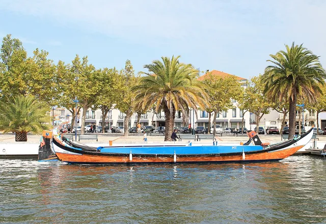 Barco moliceiro tradicional num canal de Aveiro, ladeado por palmeiras